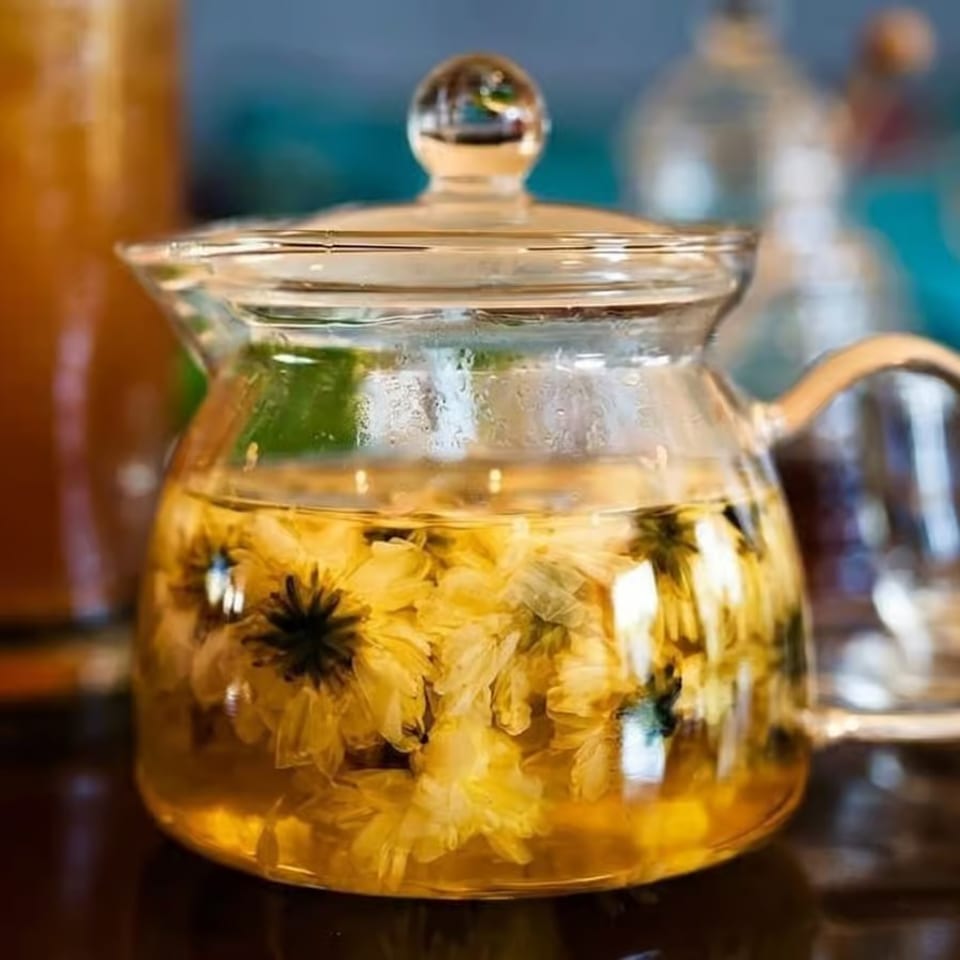 Glass teapot filled with golden chrysanthemum tea, next to a tall glass of iced tea.