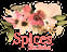 Spices Thai Kitchen