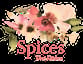 Spices Thai Kitchen